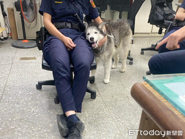 ▲哈士奇超愛警察大人。（圖／粉專「黑咪木蘭」提供，請勿隨意翻拍，以免侵權。）