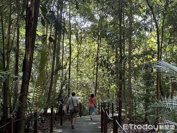 ▲▼新加坡植物園。（圖／記者周姈姈攝）