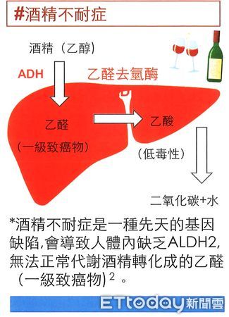 ▲酒精不耐症協會理事長陳哲宏博士帶領馬偕醫學院醫學生，進行酒精衛教。（圖／台東馬偕醫院提供，下同）