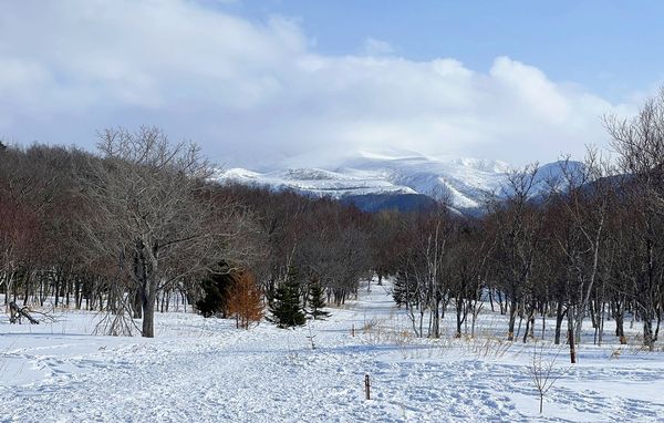 ▲▼日本北海道知床半島的知床自然中心。（圖／部落客CJ夫人提供）