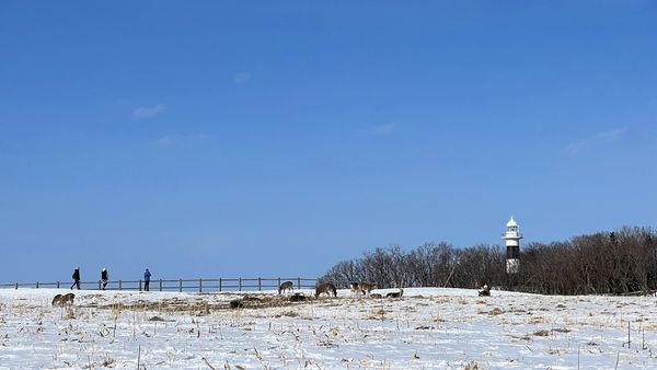 ▲▼日本北海道知床半島的知床自然中心。（圖／部落客CJ夫人提供）