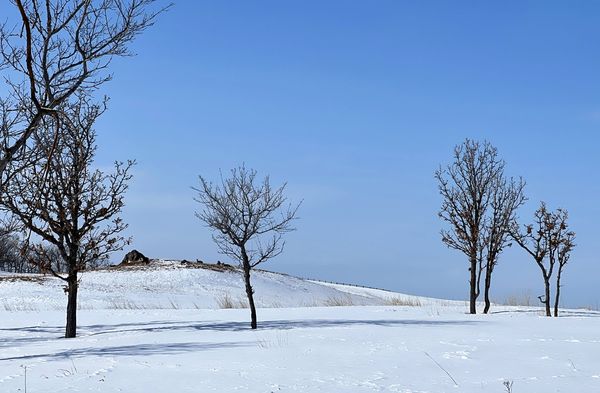 ▲▼日本北海道知床半島的知床自然中心。（圖／部落客CJ夫人提供）