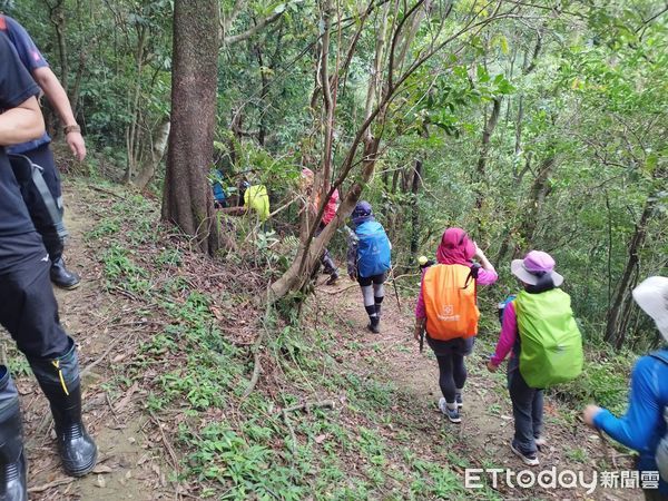 ▲▼     淡蘭古道驚傳蜂螫        。（圖／記者陸運陞翻攝）