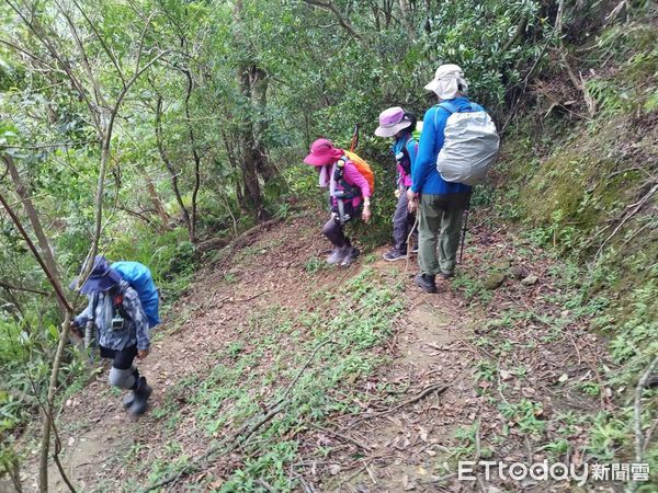 ▲▼     淡蘭古道驚傳蜂螫        。（圖／記者陸運陞翻攝）