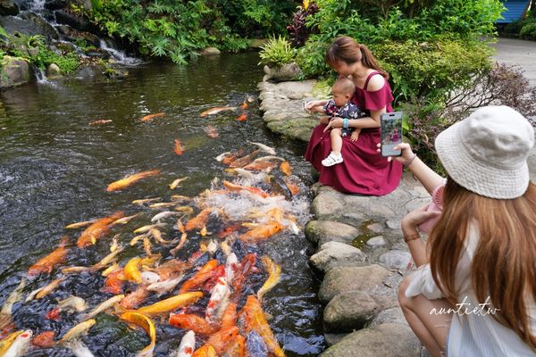 ▲▼苗栗卓蘭花露農場，繡球花霜淇淋，療癒玫瑰香             。（圖／水晶提供）