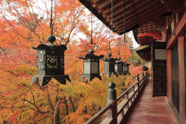 ▲▼奈良談山神社。（圖／近鐵電車）