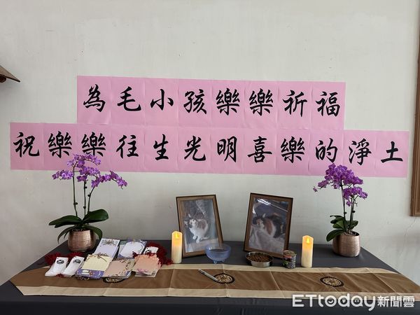 玄奘大學設「貓咪樂樂」追思祈福亭　師生不捨寫卡片祝福（圖／玄奘大學提供。）