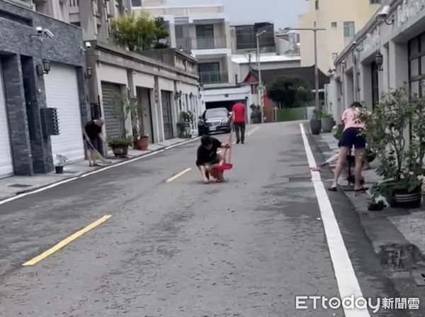 ▲雲林斗六棒球場住宅社區出現大量蚯蚓。（圖／記者王悉宇翻攝）