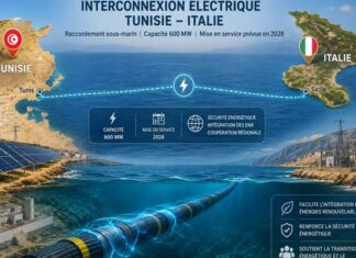 Câbles sous-marins Tunisie : un nouvel échiquier stratégique Énergie, data centers et IA (Partie II)