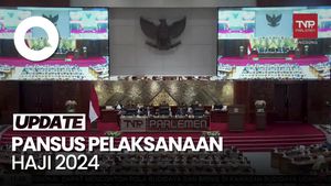 DPR RI Sepakat Bentuk Pansus Evaluasi Pelaksanaan Haji 2024