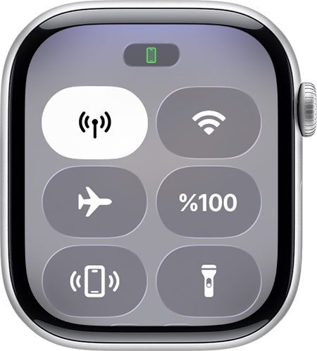 Apple Watch'taki Denetim Merkezi.