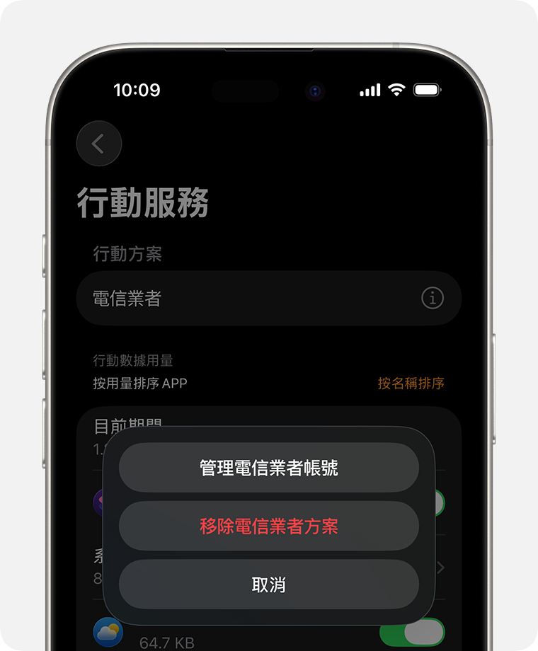 iPhone 在 Watch App 中顯示「行動網路」畫面