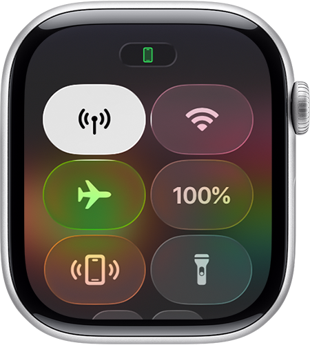 Control Center on Apple Watch.