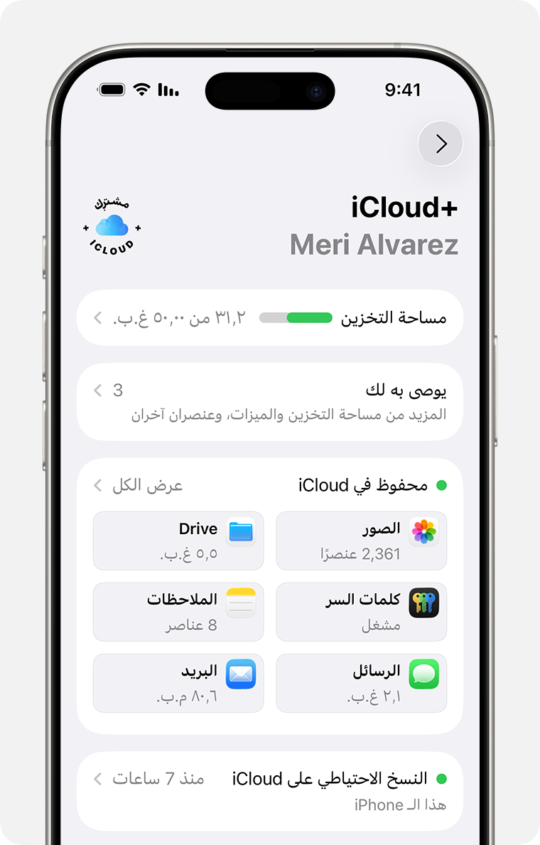 شاشة iPhone تعرض إعدادات iCloud. "عرض الكل" بجوار "المحفوظ في iCloud".