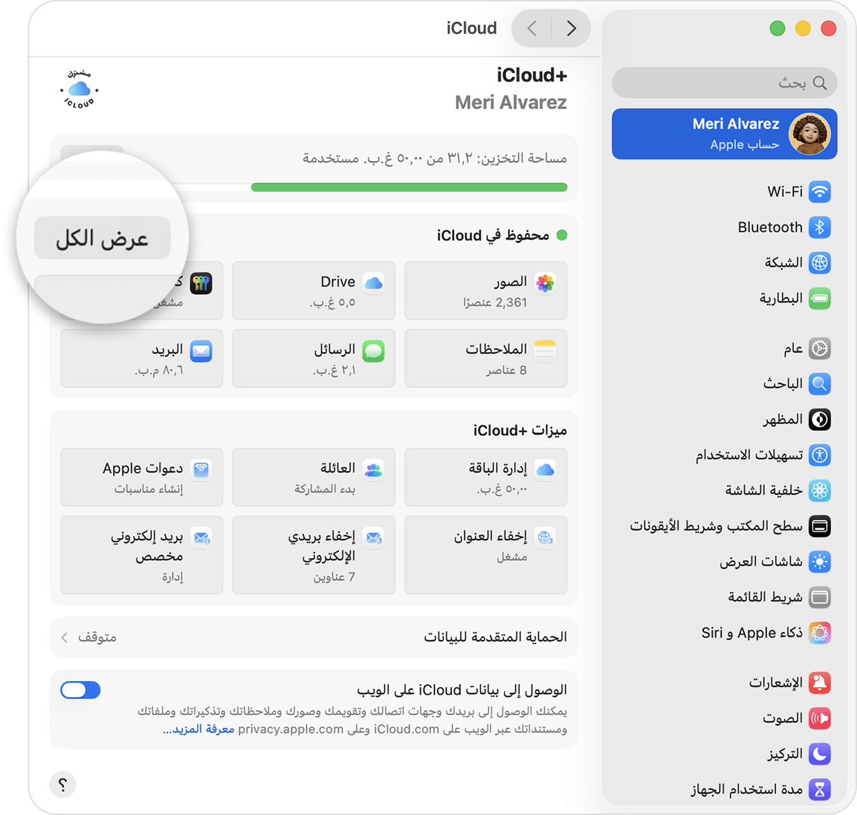 شاشة Mac تعرض إعدادات iCloud. "عرض الكل" بجوار "المحفوظ في iCloud".