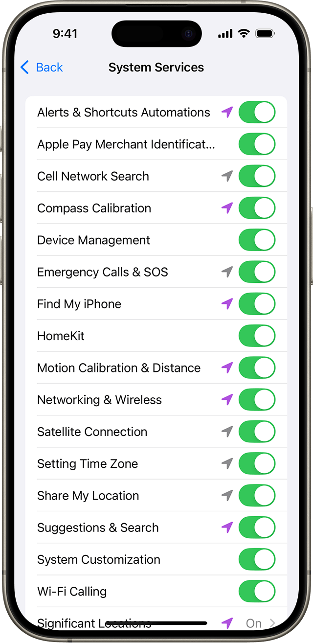 System Services setting on iPhone