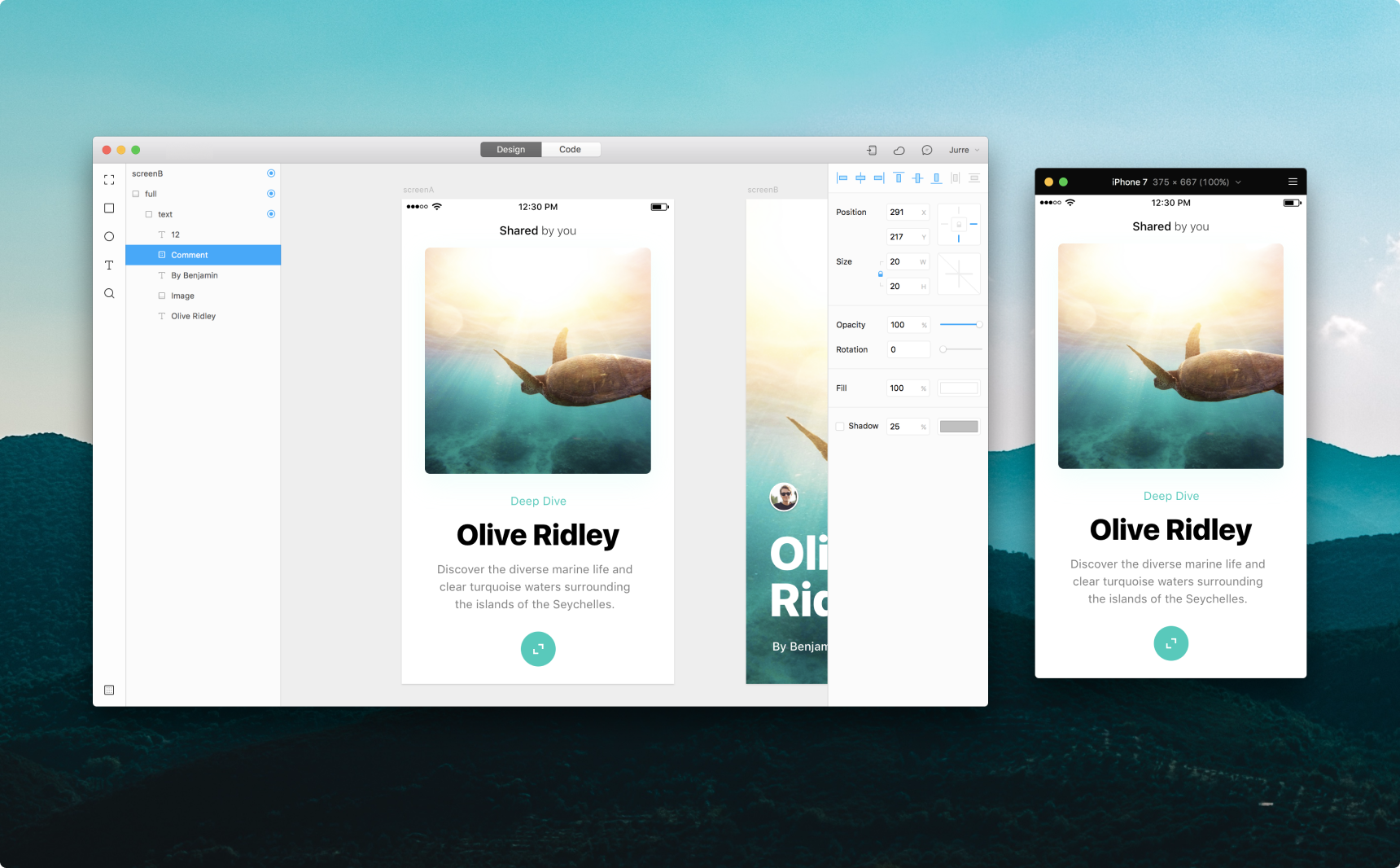 Framer for Mac