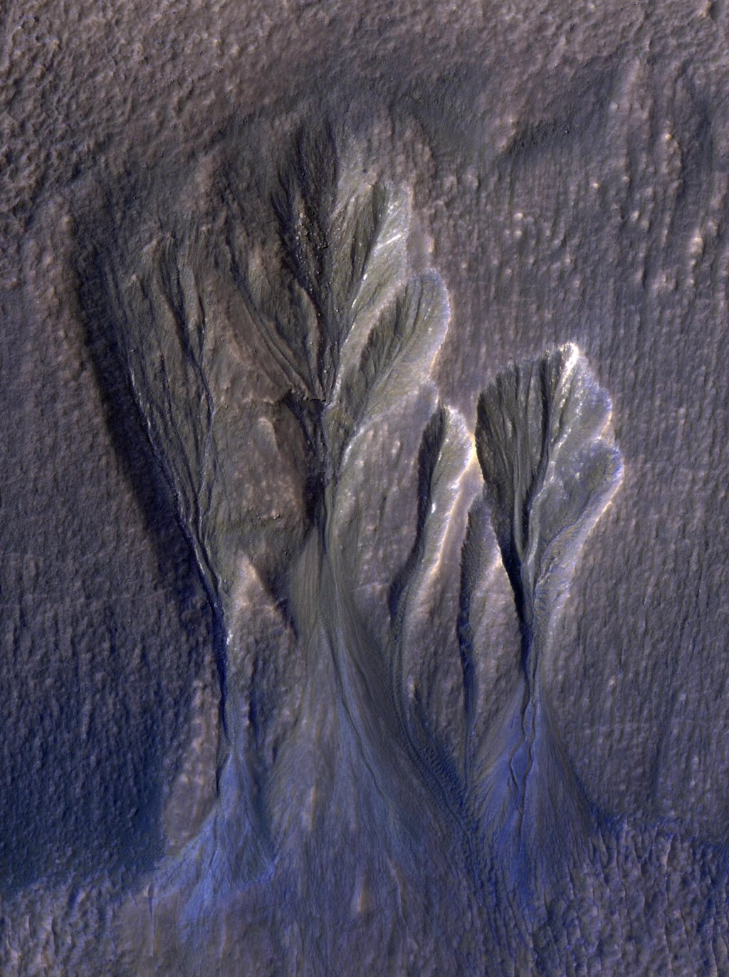 This image from NASAs Mars Reconnaissance Orbiter (MRO) shows white material believed to be dusty water ice lining the edges of Martian gullies in a region named Terra Sirenum.