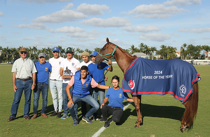 Horse of the Year Thumbnail