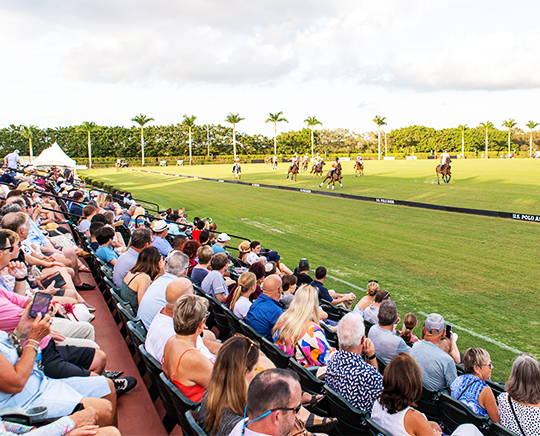 Homepage Grandstand