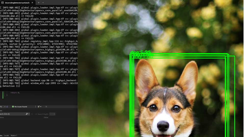 Using OpenCV, we can now detect dogs