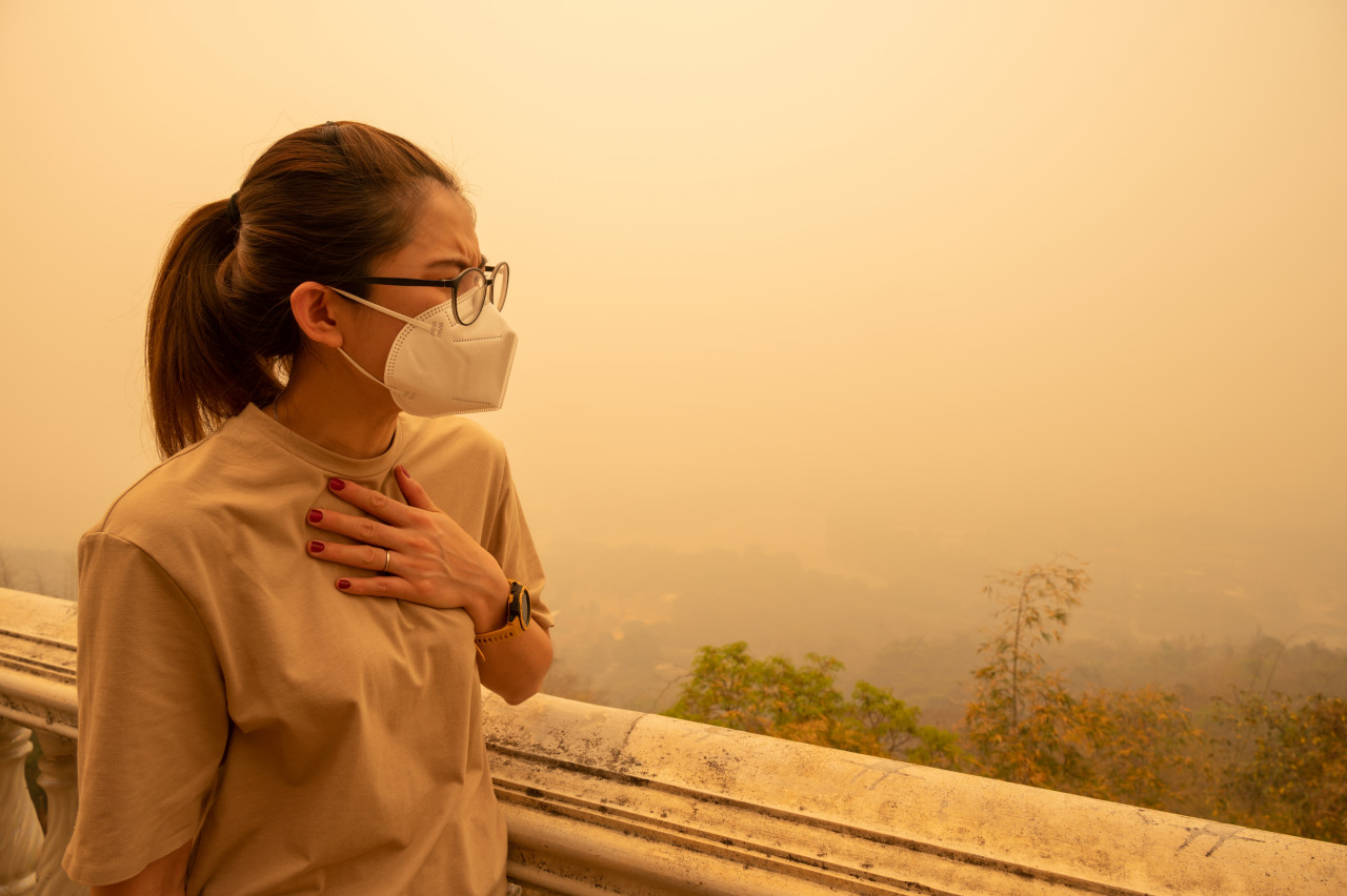 台大醫師高呼要綠能：不吸菸女性肺癌飆升！揭3大策略抗空污