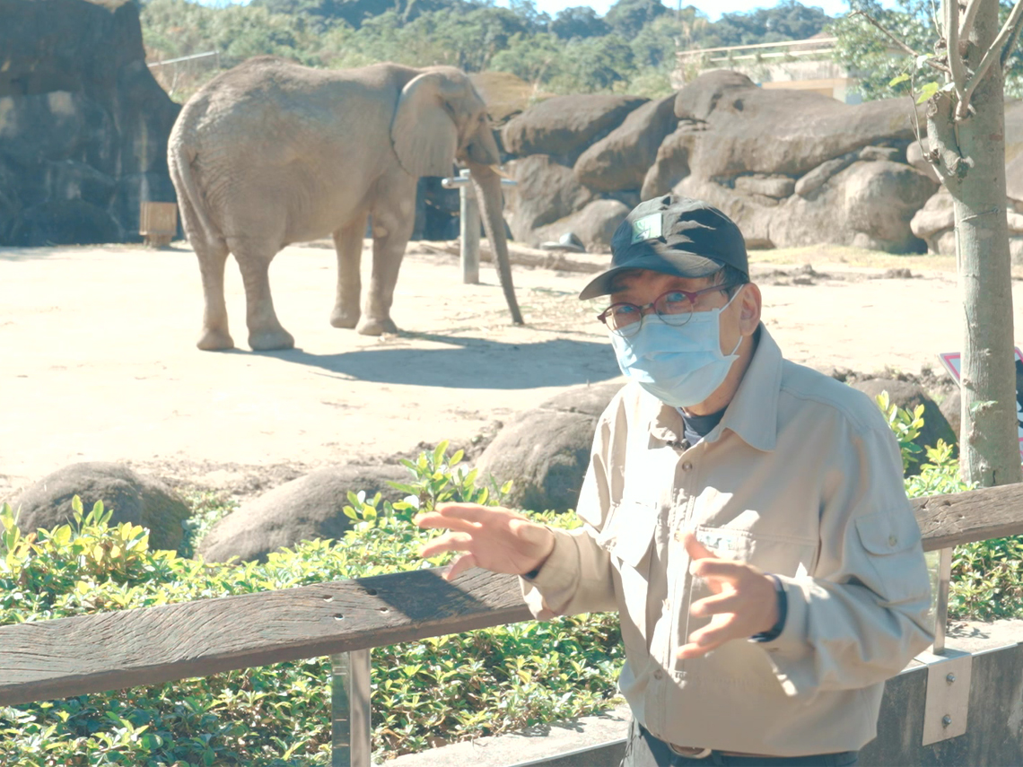 在動物園工作好夢幻？ 他被老虎追到差點沒命！