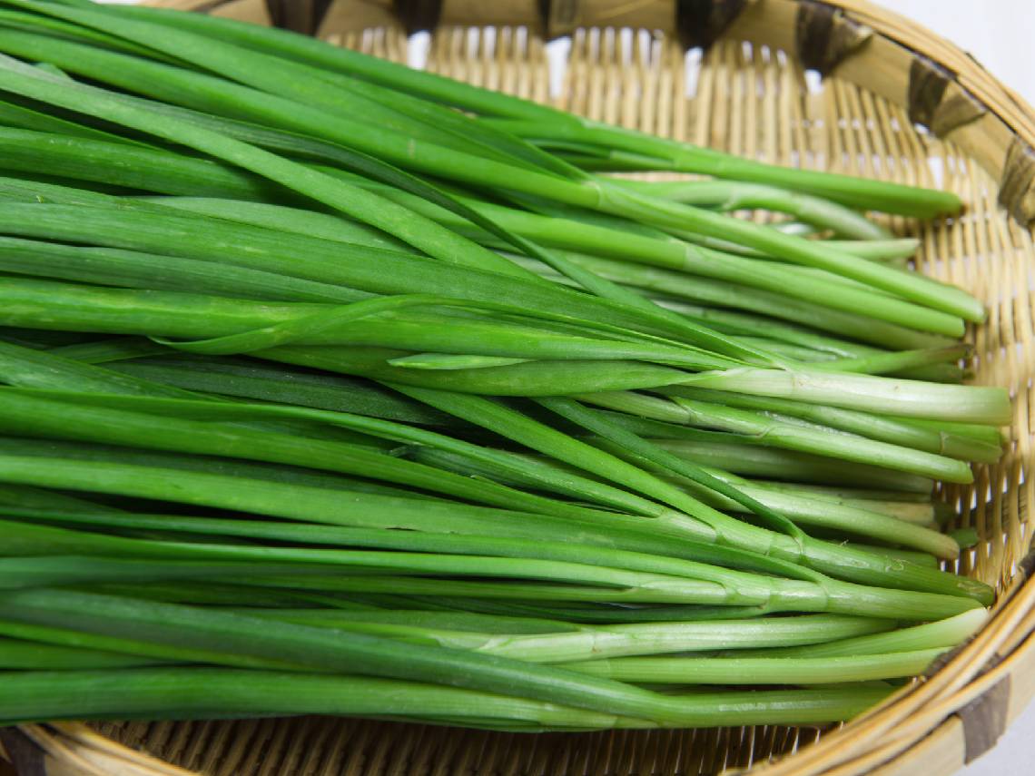 chinese chives