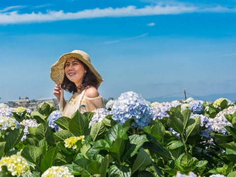 林靜芸／我70歲，正在挑戰自己！年輕不是「夢想」必備條件，相信自我有無限潛能