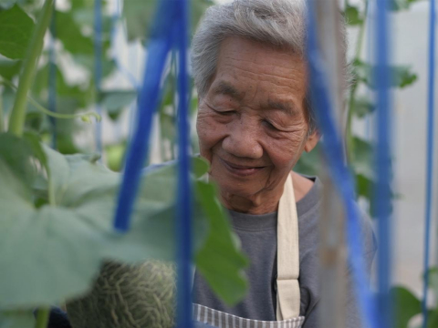 「死後的事有什麼好操心！」93歲精神科醫師：如果有墳墓會給兒孫添麻煩，把骨灰灑到大海就好