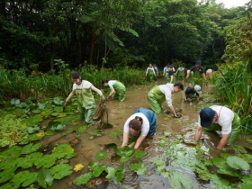 永豐金控號召志工走進濕地，協助台北赤蛙復育，致力提升生物多樣性！