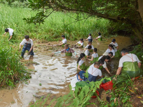 不只知識加值，更身體力行！永豐銀行前進濕地，以永續之名，號召夥伴還地球應有的美好清淨