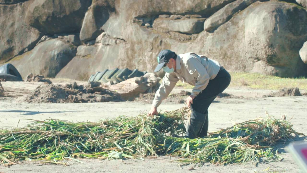 張天勇一早在臺北市立動物園正準備大象的食物。