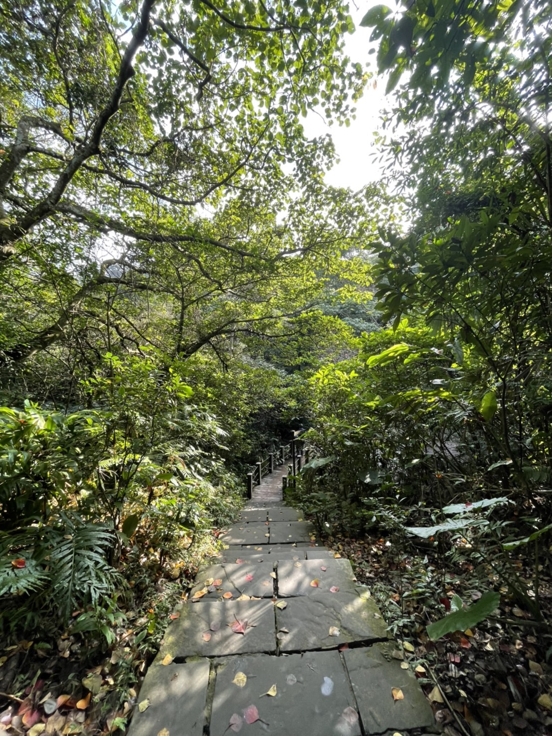 家，不只是近在身畔的日常，家也可能是遙遠的朝聖與嚮往，深植於精神的原鄉