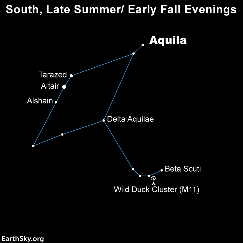 Star chart of a stretched diamond shape with a tail from the wide edge, with labels.