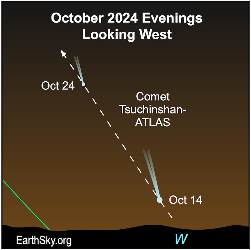 Star chart showing a comet with tail pointing up for 2 dates, 1 closer to the horizon and 1 higher up.