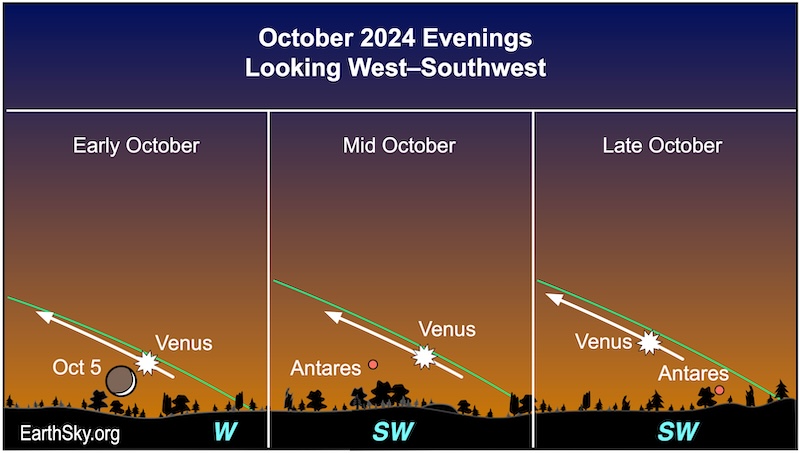 Venus shown early, mid and late October 2024.