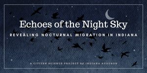 a dark, starry night sky with silhouettes of birds in flight and a crescent moon. The text reads, "Echoes of the Night Sky: Revealing Nocturnal Migration in Indiana," with a note below, "A Citizen Science Project by Indiana Audubon." The scene evokes the quiet mystery of nighttime bird migration.