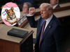 Does Donald Trump's 'transgender mice' claim have teeth? Govt report reveals 'real' spending figures on Biden's experiments:Image