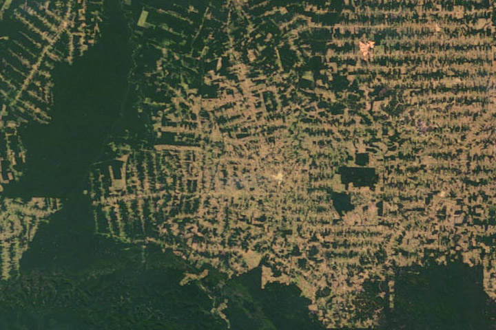 World of Change: Amazon Deforestation