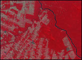 Deforestation in Brazil