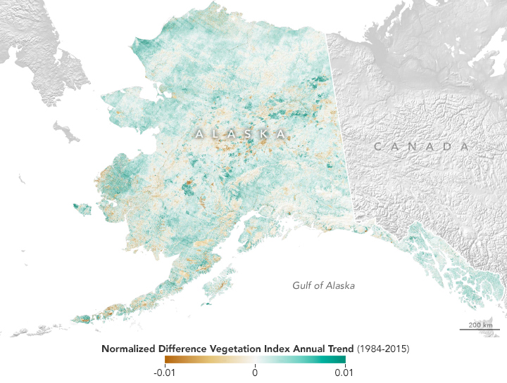 Alaska in Flux: Wildfire Recovery Paints Alaska Green - related image preview