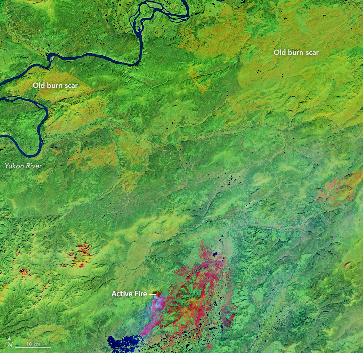 Alaska in Flux: Wildfire Recovery Paints Alaska Green - related image preview