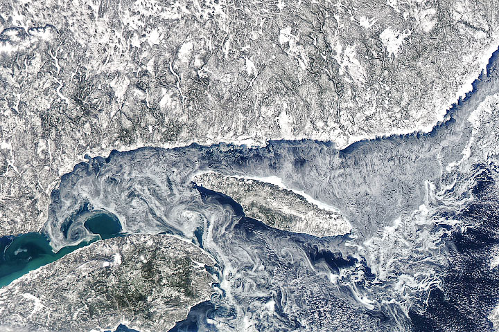 Ice Eddies in the Gulf of St. Lawrence