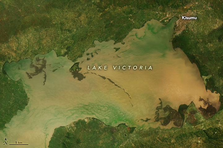 Lake Victoria’s Rising Waters - related image preview