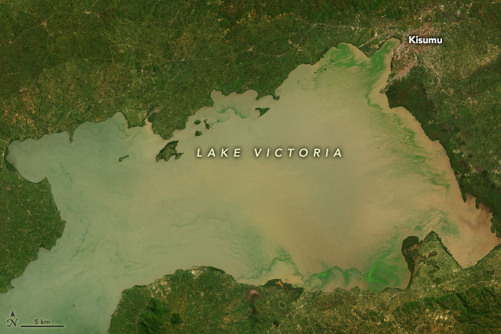 Lake Victoria’s Rising Waters - related image preview