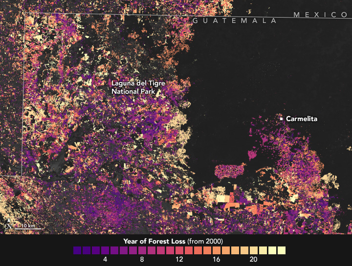 The Shrinking Selva Maya - related image preview