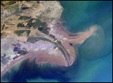 Yellow River Delta