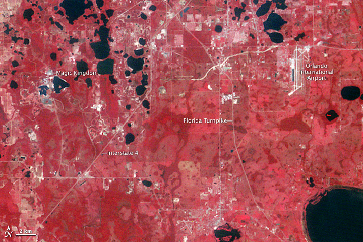 Orlando, Florida: Four Decades of Development - related image preview