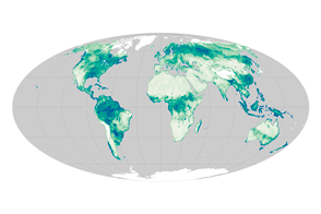 Soil Moisture Around the World